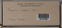 Image Associated With the Occurence